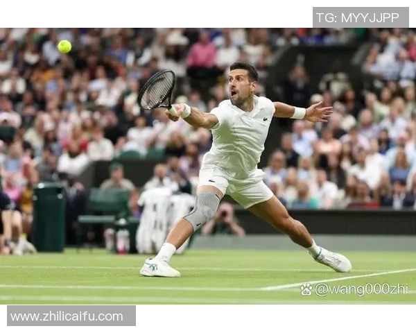 德约科维奇在塞尔维亚的辉煌成就与未来展望分析 德约科维奇在塞尔维亚的辉煌成就与未来展望分析